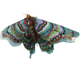 Hand Crafted Butterfly Kite From Bali Indonesia