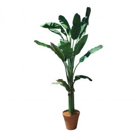 Fuax Silk Leaf Banana Tree Decor. Original Price: $2,500.00