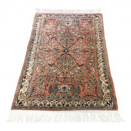 Uniquely Colored Traditional Area Rug - 3'4" x 5'10"