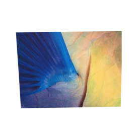 Abstract Print on Canvas
