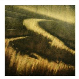 Amazon Waters II by Robin Denevan Encaustic Art Piece Wax + Oil