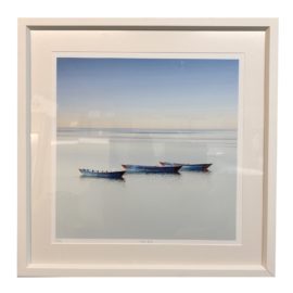 NEW Tree Boats Photography