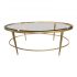 kolkka-paris-style-oval-metal-glass-coffee-table-3044