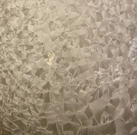 Screen Shot 2020-01-30 at 5.51.44 PM