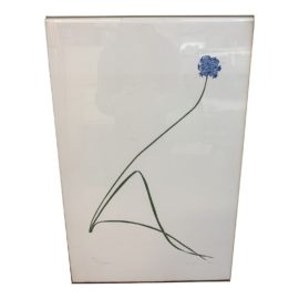 Henry Evans Brodiaea Limited Edition Lithograph