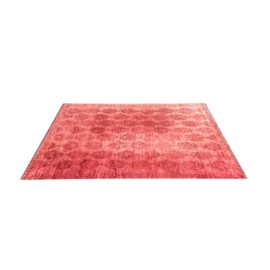 Anthropologie Cranberry Rug - 5′ × 8′