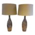 Mid 20th Century Murano Caned Table Lamps - a Pair