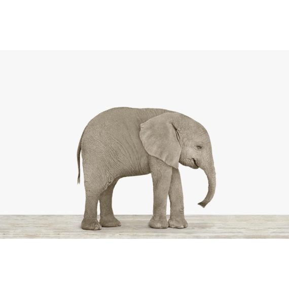 sharon-montrose-custom-elephant-print-5619