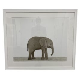 Sharon Montrose Custom Elephant Print