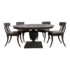 restoration-hardware-klismos-indooroutdoor-dining-set-set-of-9-8999