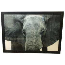 Custom Framed Elephant Black + White Print. Original Price: $1,850