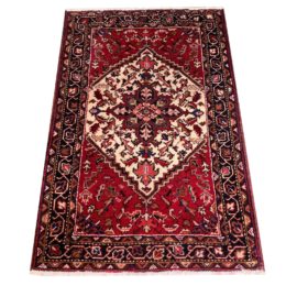Persian Medallion Rug - 3′1″ × 5′