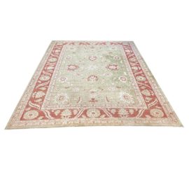 Persian Persimmon Border Area Rug -  9′ × 11′11″