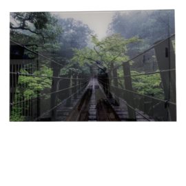 Custom Forest + Bridge Acrylic Framed Photo