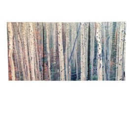 John Fielder Triptych Spanish Peaks Aspen