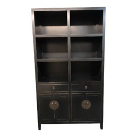 Early 21 Century Asian Style Double Bookcase