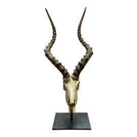 Restoration Hardware Ridged Antelope Horns Resin Objet on Stand