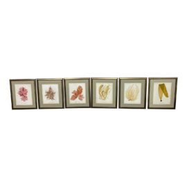 Early 21st Century Custom Framed Botanical Prints, Set of Six