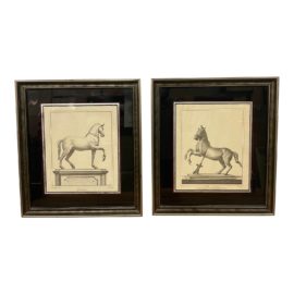 Carlo Nolli Joan Casanova Horse Statuary Etchings, a Pair