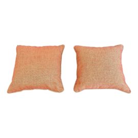 Pair of Pierre Frey Custom Corded Trim Pillows