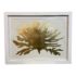 Williams-Sonoma Home Gold Leaf Coral Reproduction Print