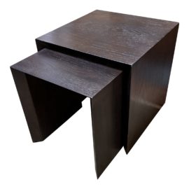 West Elm Two Piece Nesting Tables
