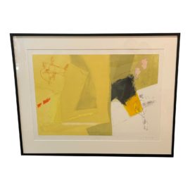 Joaquin Capa "Drawing Yellow" 22/ 45