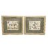 Pair of Botanical Vintage Framed Prints
