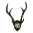 Restoration Hardware Deer Antlers Cast