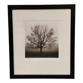 Richard Calvo Awakenings Photograph