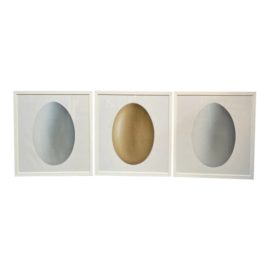 Wisteria Triptych Photography of the Eggs