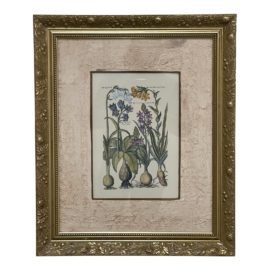 Bombay Company Botanical Illustration Framed Art Piece