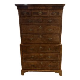 19th Century Burl Wood Highboy