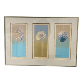 Karen S. Vance Sea Shell Trptych, Custom Framed