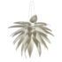 Aloe Blossom Pendant Light by Jeremy Cole Replica - Small