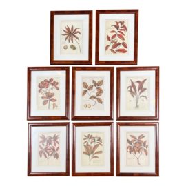 Trowbridge Botanical Prints, Framed Set of Eight