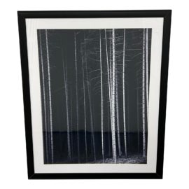 Decorative Black + White Tall Trees Framed Print