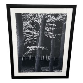 Decorative Black + White Trees + Leaves Framed Print