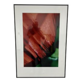 Custom Framed Red Poppy Photo
