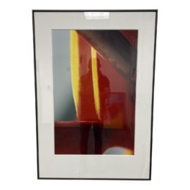 Custom Framed Bird of Paradise Photo - Framed