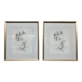 Ethan Harper Framed Orchid Prints, a Pair
