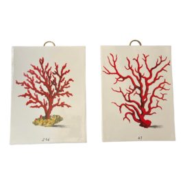 Tozai Home Red Coral Porcelain Wall Art - a Pair