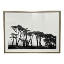 Minted Tania Madeiros "Lands End" Framed Art. Original Price: $844