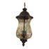Traditional Metal + Glass Two-Light Pendant