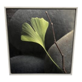NEW Studio El Gayle and Glen Wans "Gingko" Giclee on Canvas. Original Price: $450