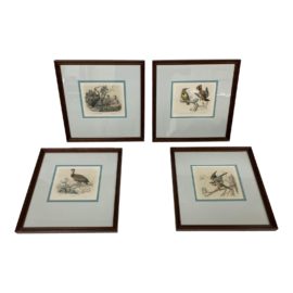 Antique French Edouard Travies, Buffon Publishing Hand-Colored Engravings, Set of Four