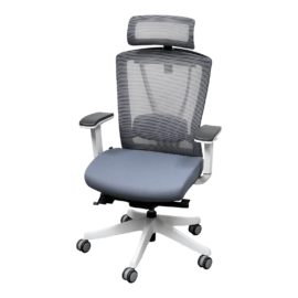 Autonomous Ergo Office Chair Pro