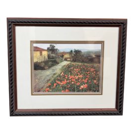 Christopher Polydoroff 'Tuscan Poppies' Photography