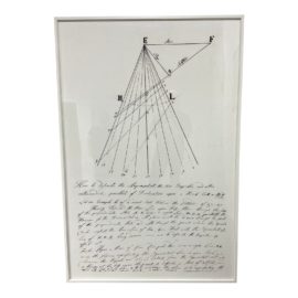 Restoration Hardware Natural Curiosities Projection Series #2b Framed Print