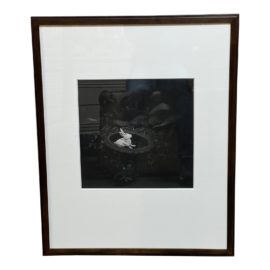 Vintage Lost Garden Framed Silver Gelatin Print